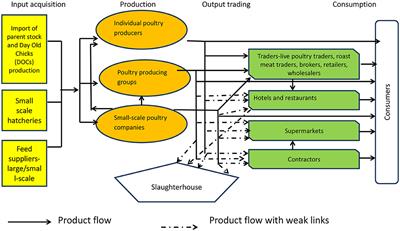 Poultry Value Chain in Two Medium-Sized Cities in Kenya; Insights From Cluster Theory